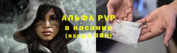 ПСИЛОЦИБИНОВЫЕ ГРИБЫ Балахна